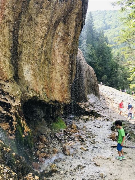 LA CASCADA URLATOAREA SI REZERVATIA DE ZIMBRII DIN。